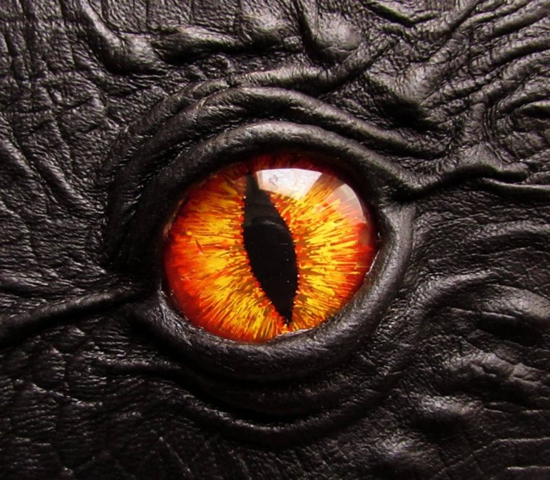 Глаз динозавра