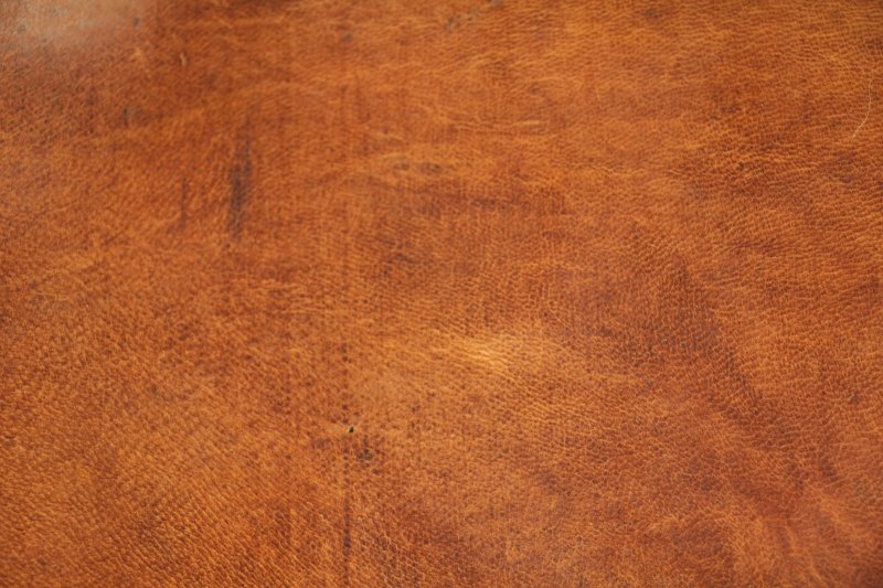 Текстура кожи