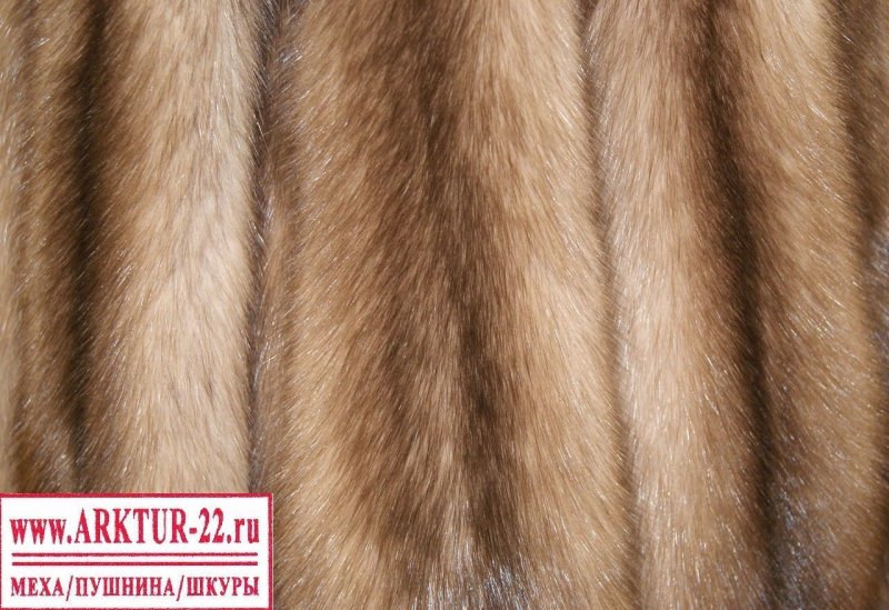 Норка Соболь куница шкуры