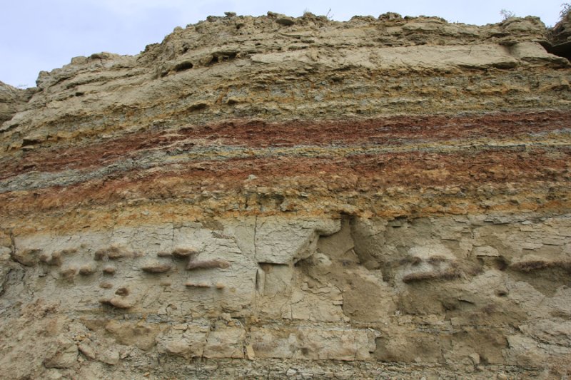 Кембрийский известняк