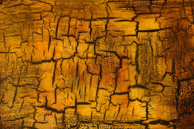 Золотая стена