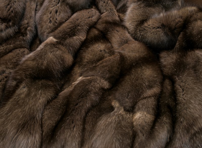 Соболиный мех