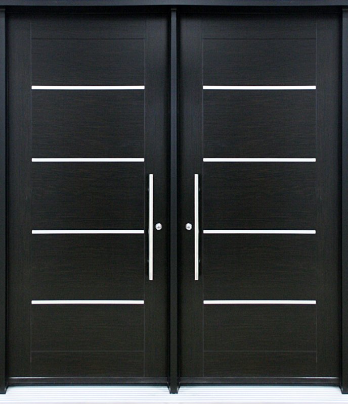 Двойная металлическая дверь