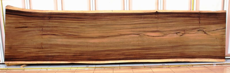 Мореный карагач