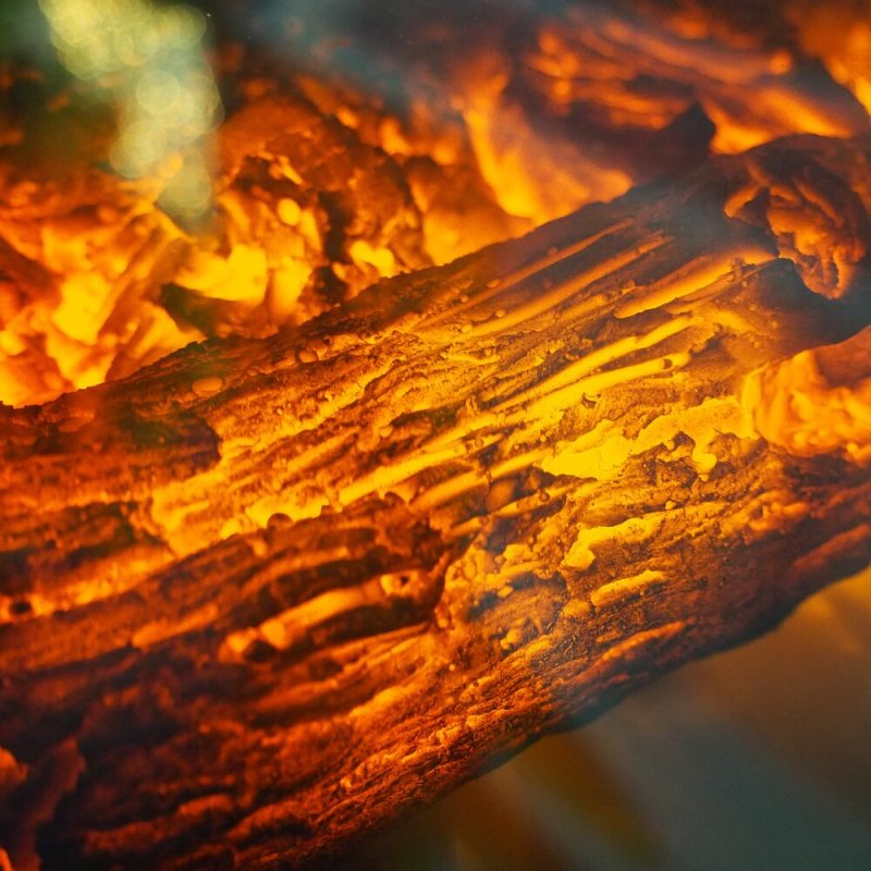 Горящее дерево