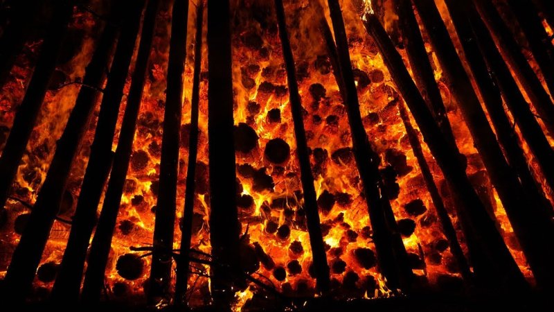 Горящие деревья