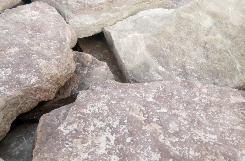 Чоргуньский мраморизованный известняк