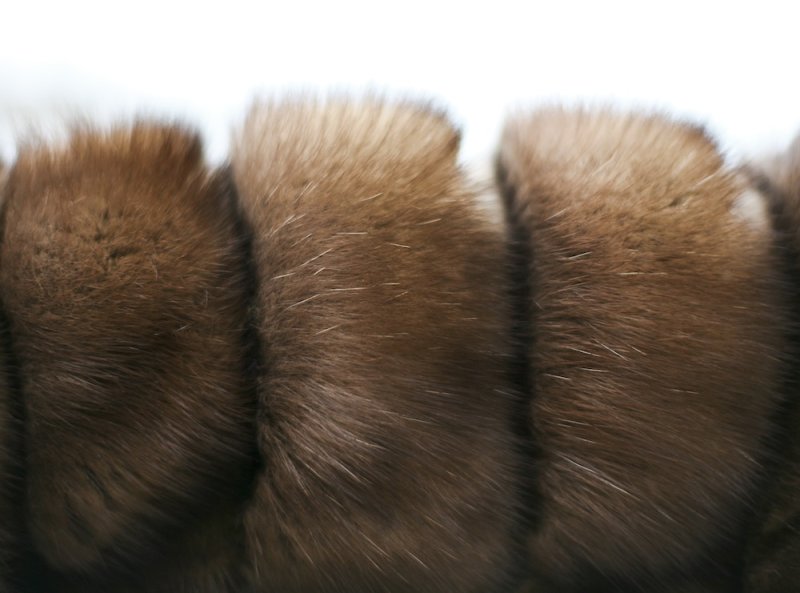 Соболиная шерсть
