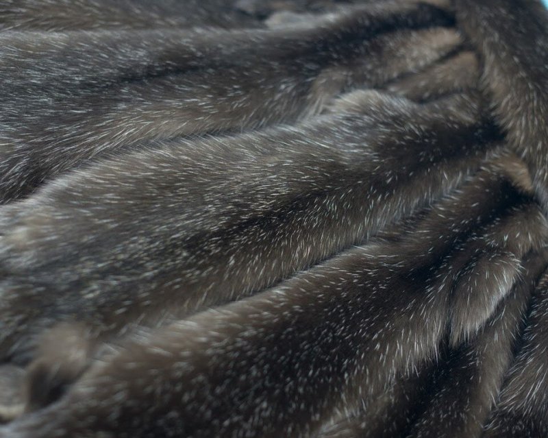 Пушнина Сибири