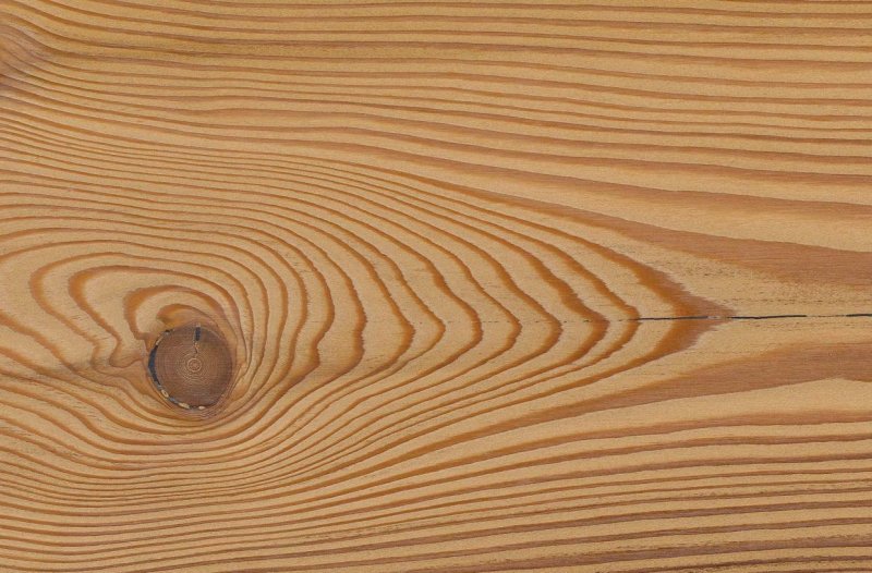 Сибирская лиственница спил