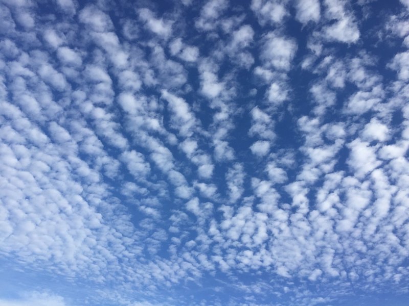 Перисто Кучевые