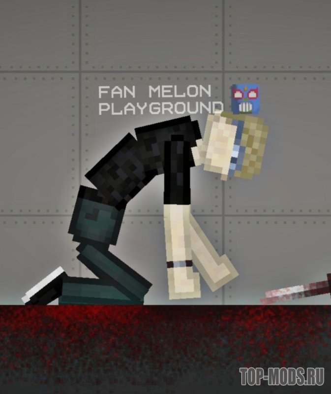 Melon Playground Melon