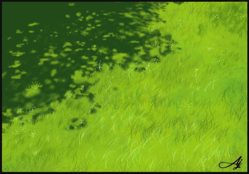 Трава сверху