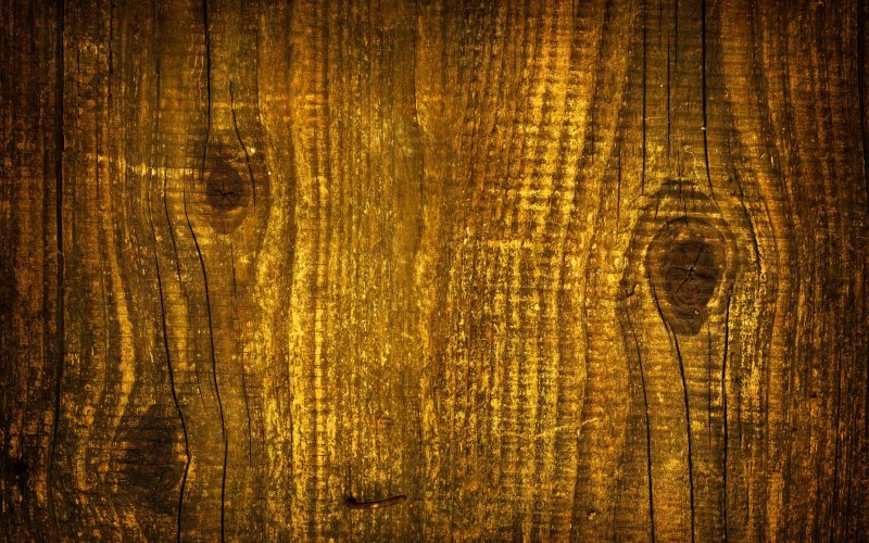 Текстура древесины