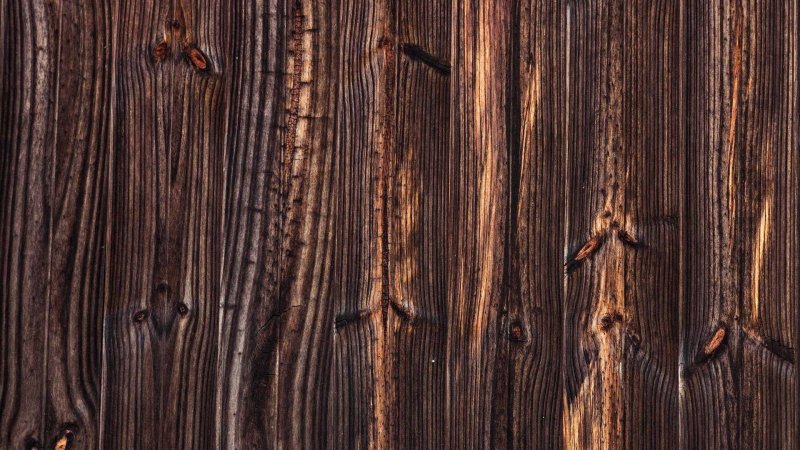 Фактура дерева