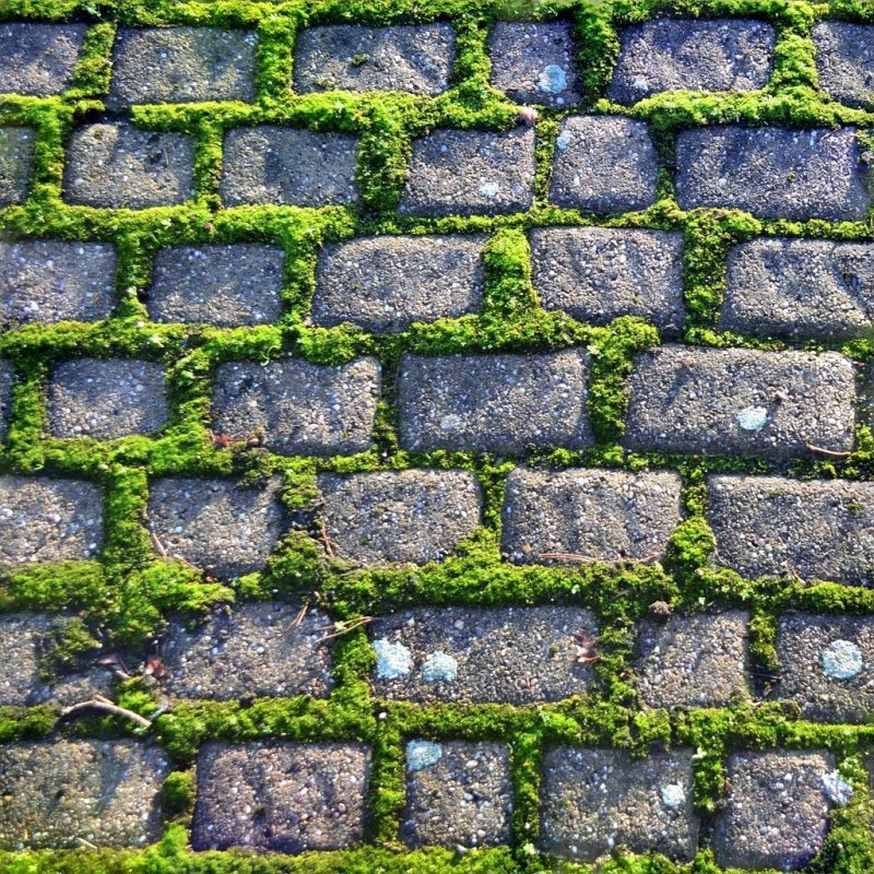 Текстура кирпича