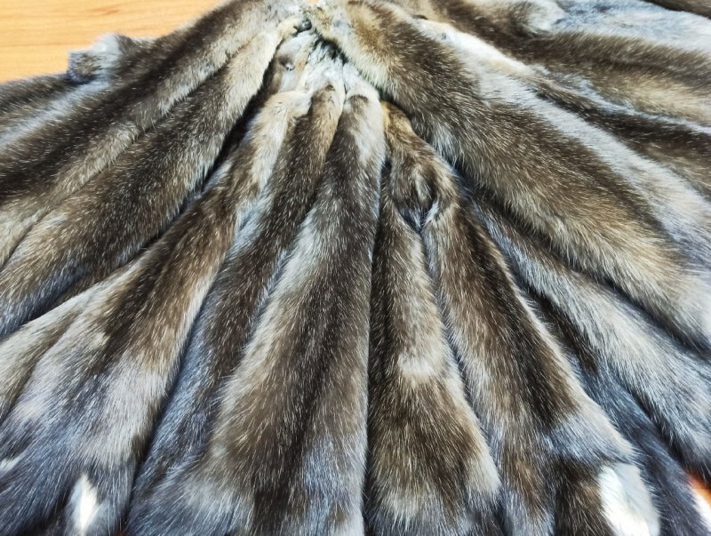 Баргузинский Соболь шкурки