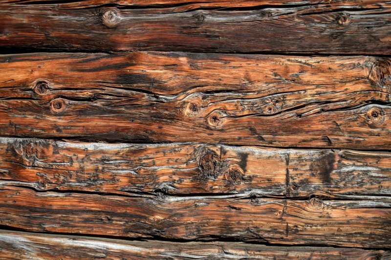 Фактура дерева