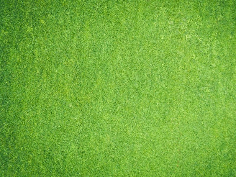 Зеленая кожура фактура