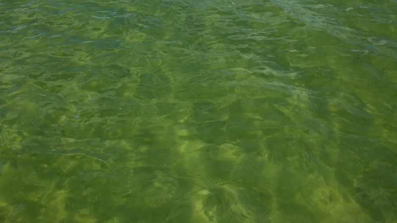 Текстура воды бесшовная