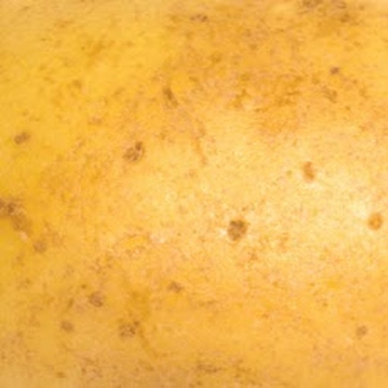 Текстура картошки