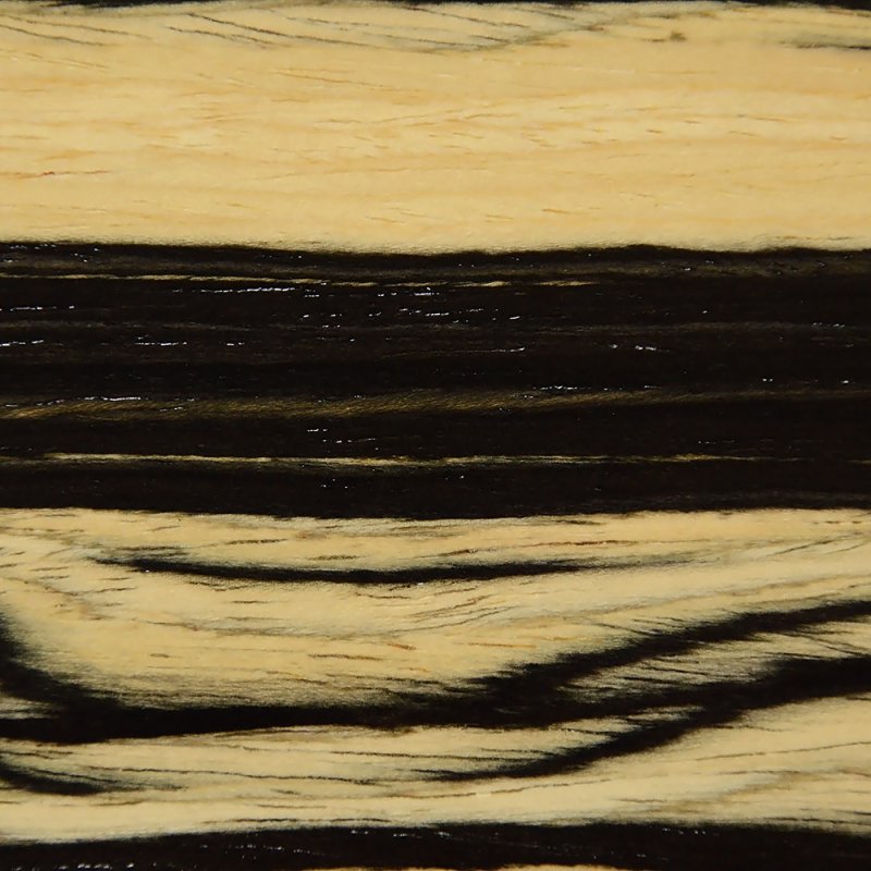 Мунский Эбен