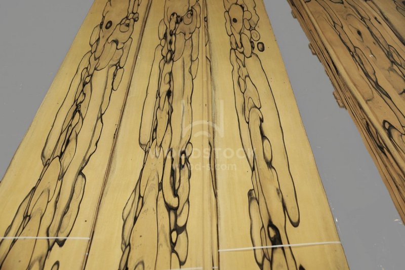 Вудсток шпон Эбеновое дерево