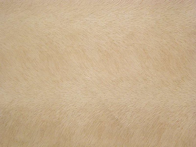 Бежевая кожа текстура
