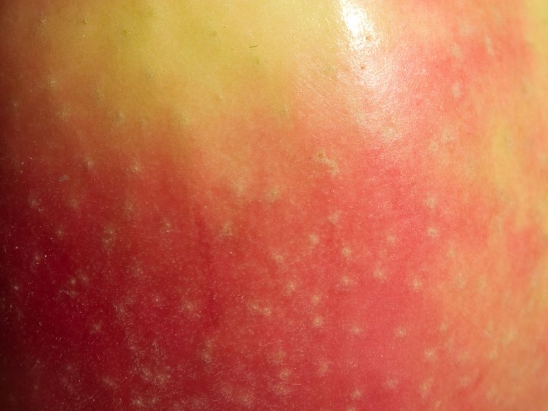 Кожура яблока