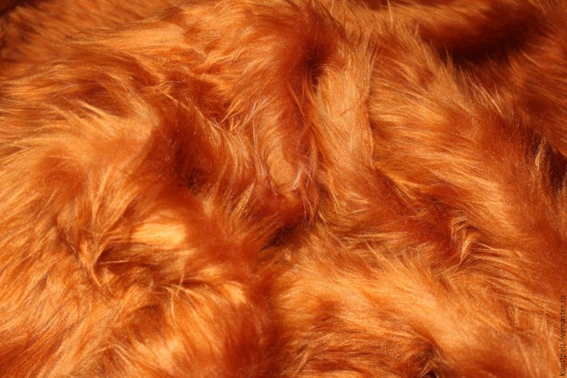 Рыжий мех
