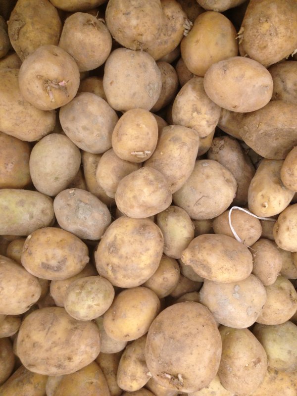 Картофель текстура