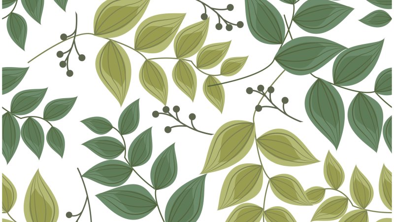 Орнамент листья