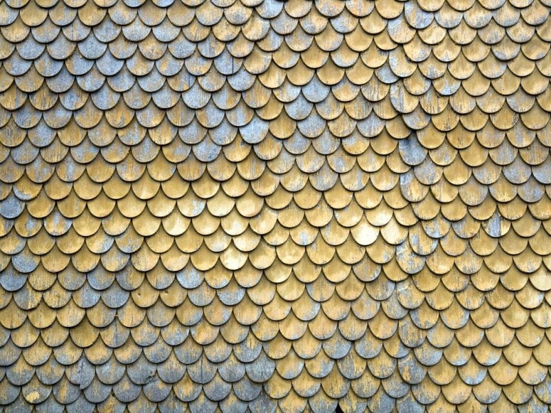 Золотая чешуя