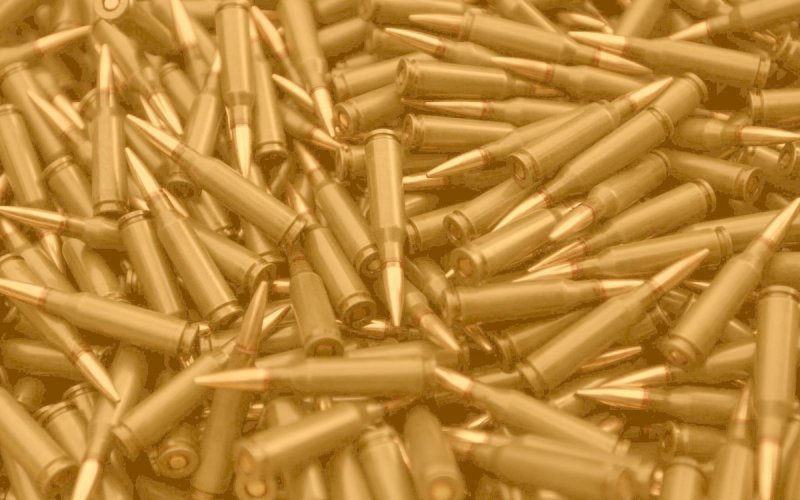 Гильза патрона