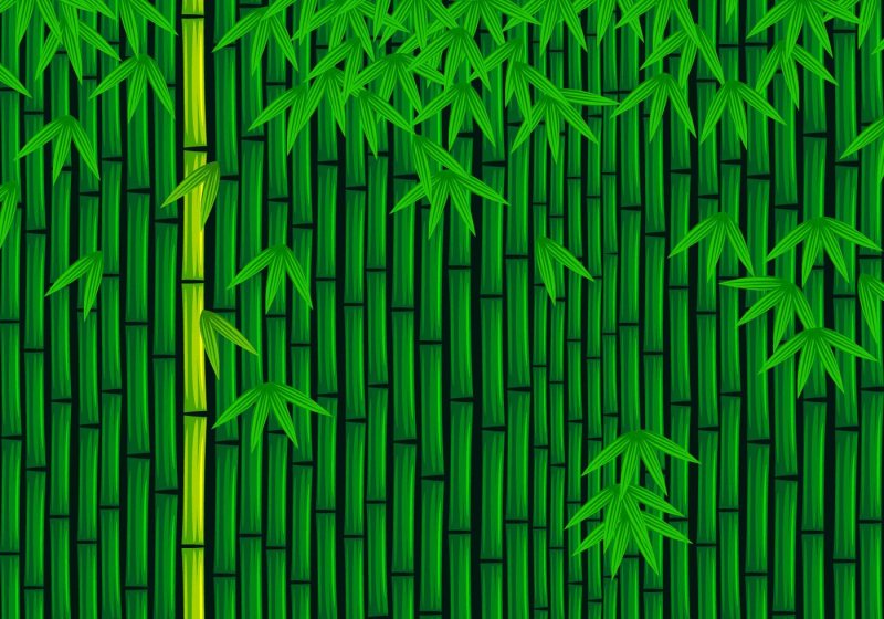 Бамбук текстура