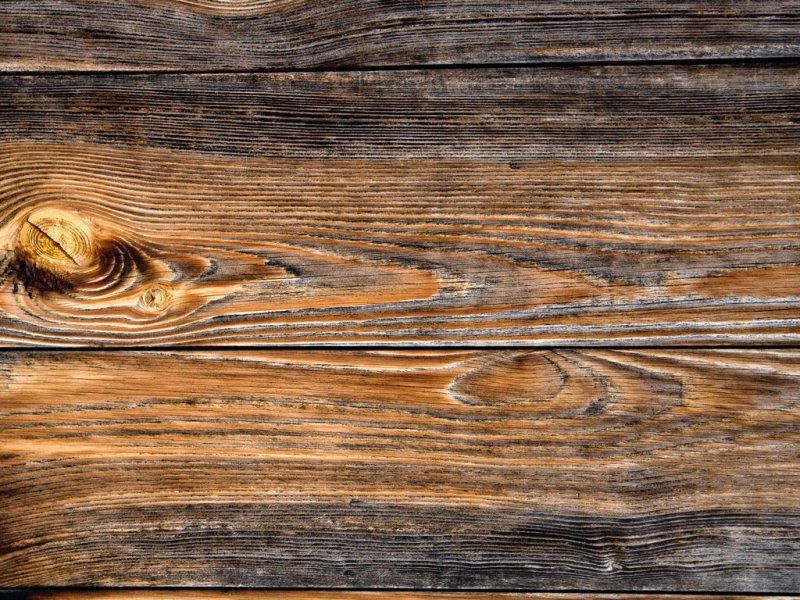 Фактура дерева