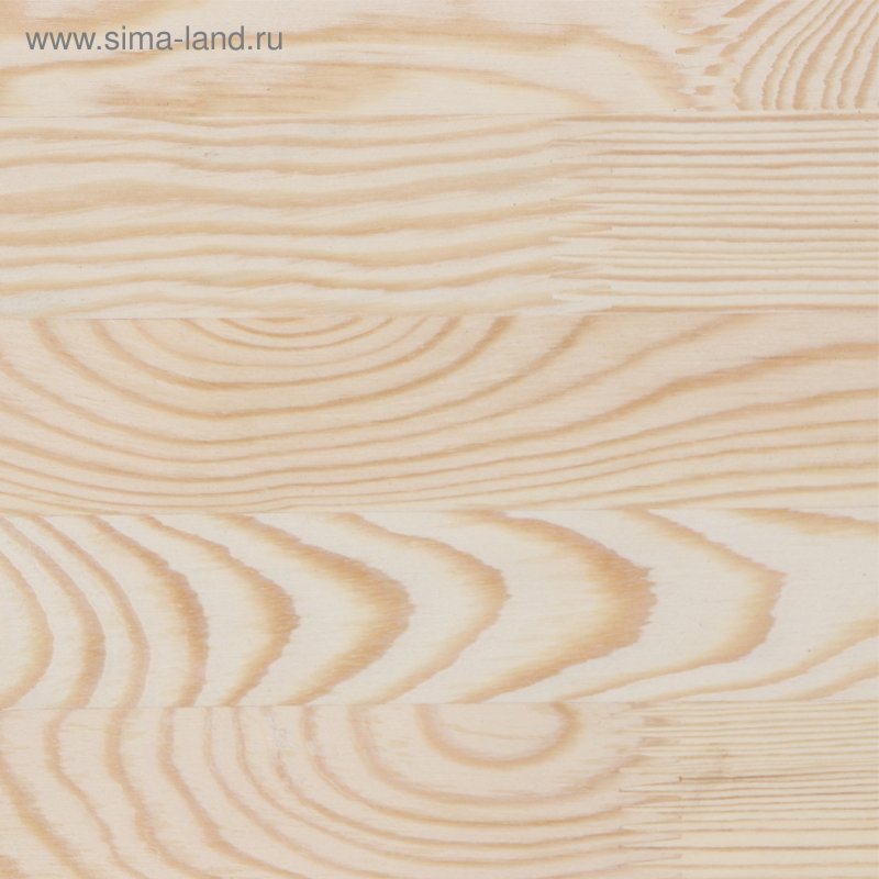 Сосна текстура