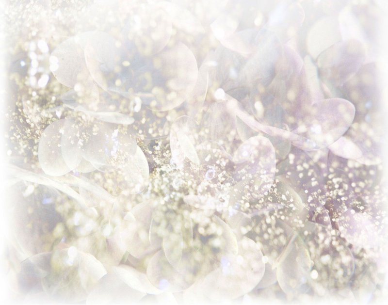 Свадебный фон для фотошопа