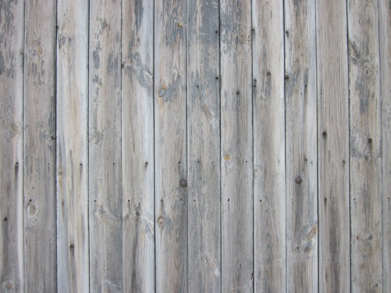 Фактура дерева