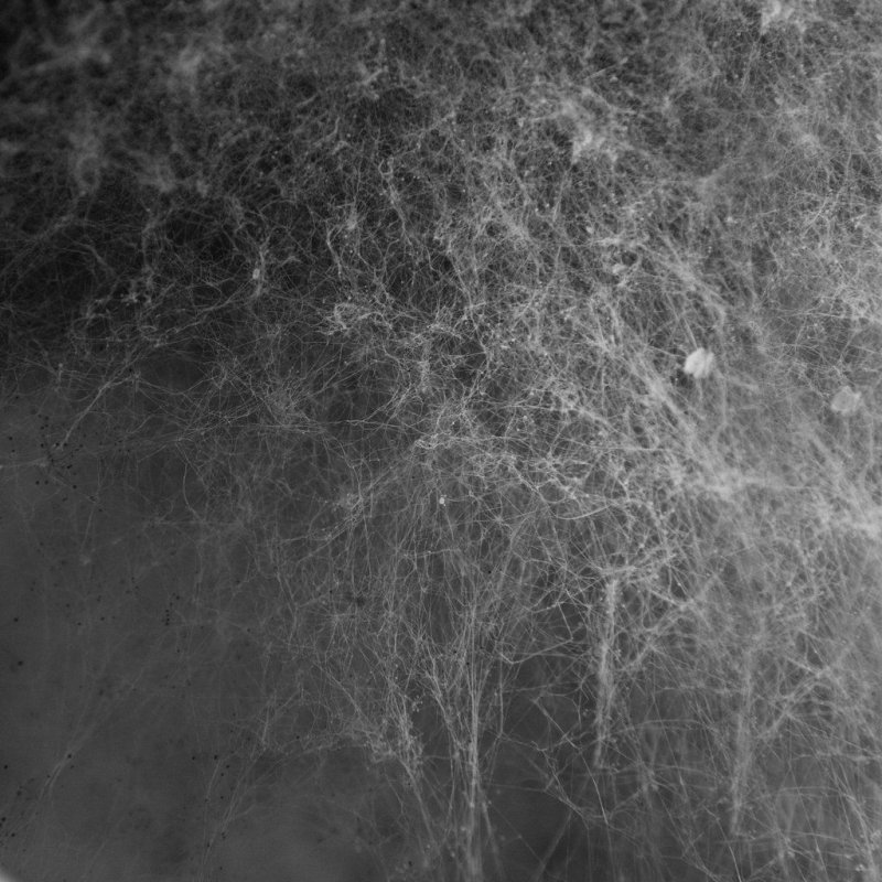 Текстура пыли