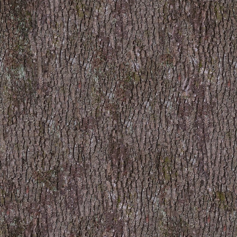 Кора текстура бесшовная