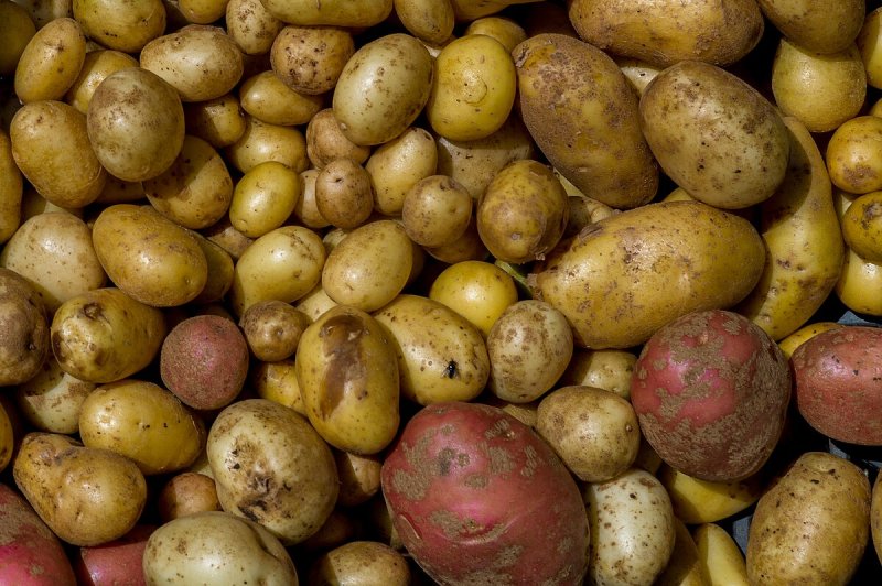 Текстура картошки