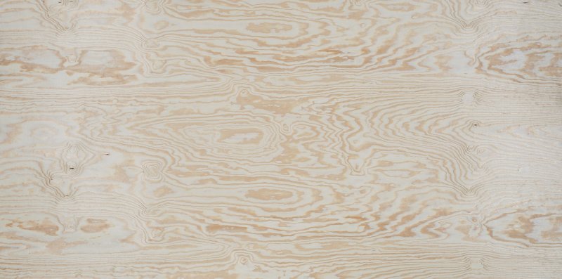 Береза текстура древесины