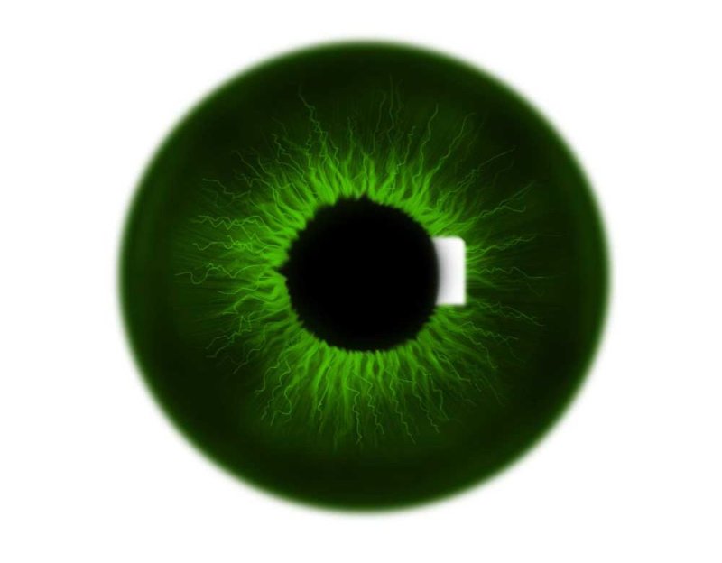 Зеленая радужка глаз