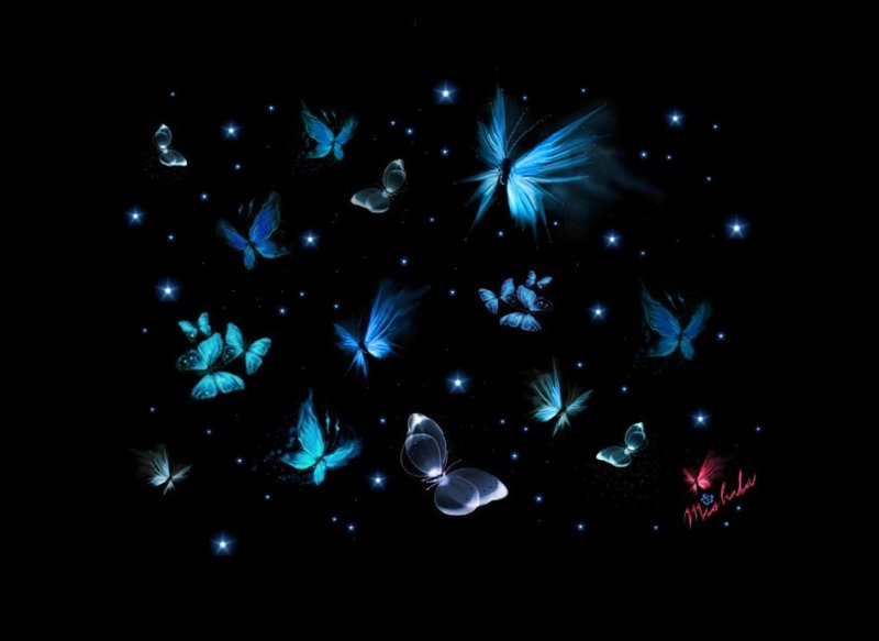 Бабочка на темном фоне