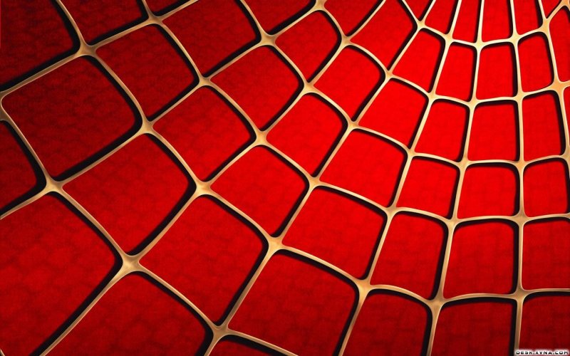 Паутина на Красном фоне