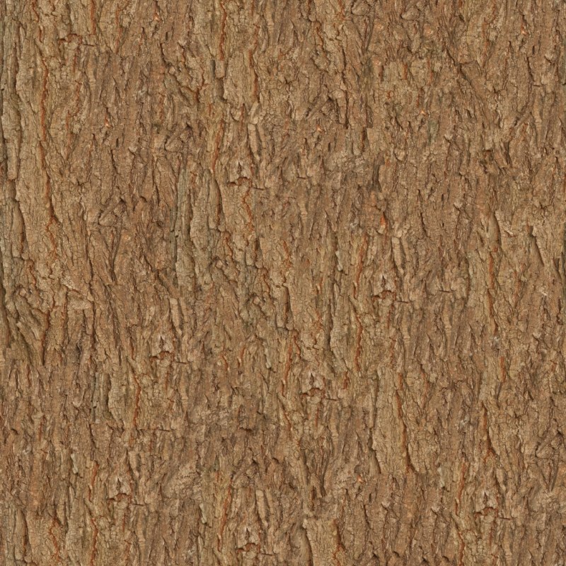 Текстура коры дерева