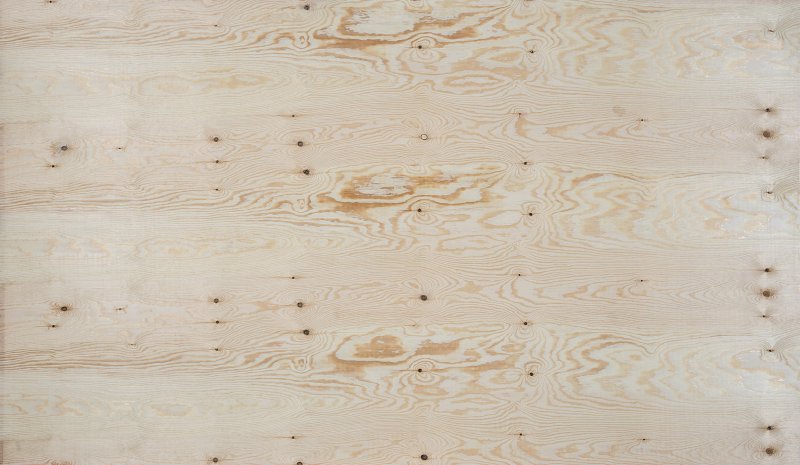 Береза Снежная 1715bs