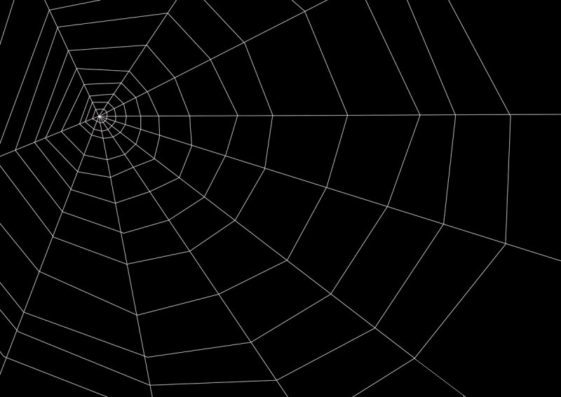 Паутина на черном фоне