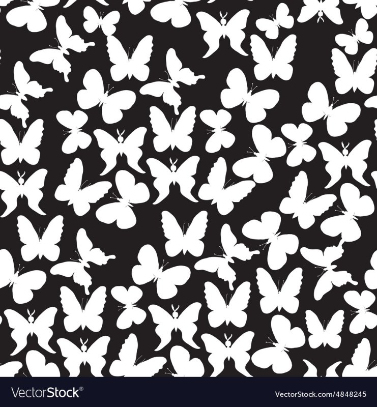 Бабочка черно белая